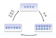 当短视频带货成为潮流,抖音会成为下一个淘宝吗?-抖音培训网