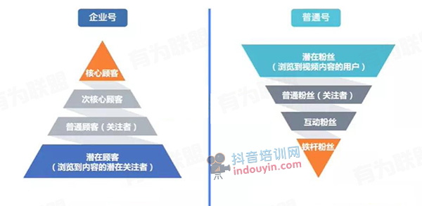 抖音蓝V企业号和普通号有什么区别？认证蓝V的好处！